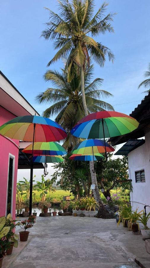 Pink Homestay D'Perlis Кангар Екстериор снимка