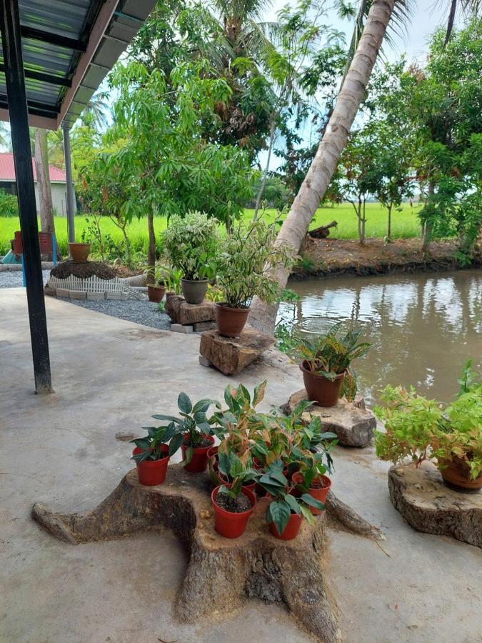 Pink Homestay D'Perlis Кангар Екстериор снимка