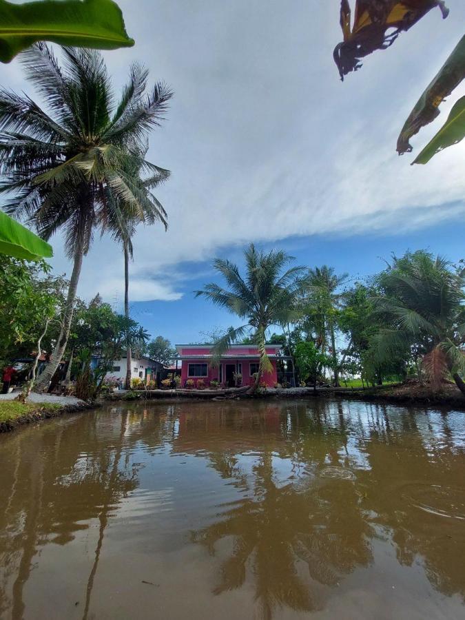 Pink Homestay D'Perlis Кангар Екстериор снимка